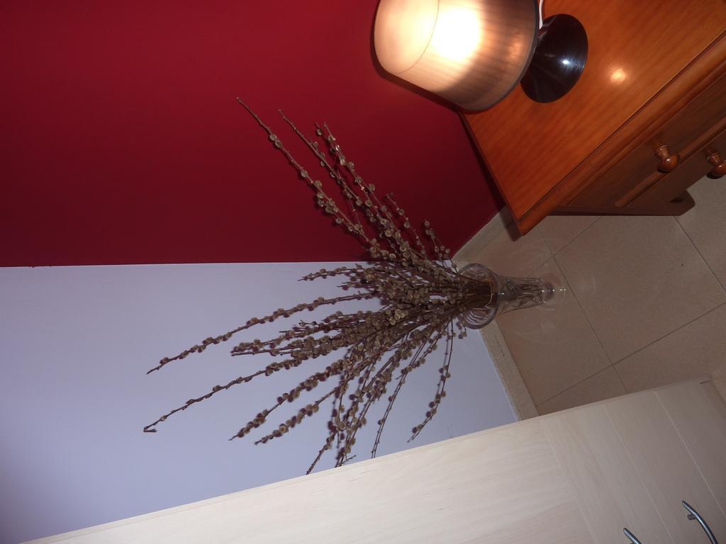 El Molino Apartment กาสเตฮอน เด โซส ภายนอก รูปภาพ